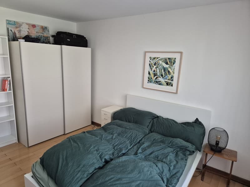 Furnished 2.5-room apartment in Lucerne's Neustadt, central & cozy (temporary) (4)