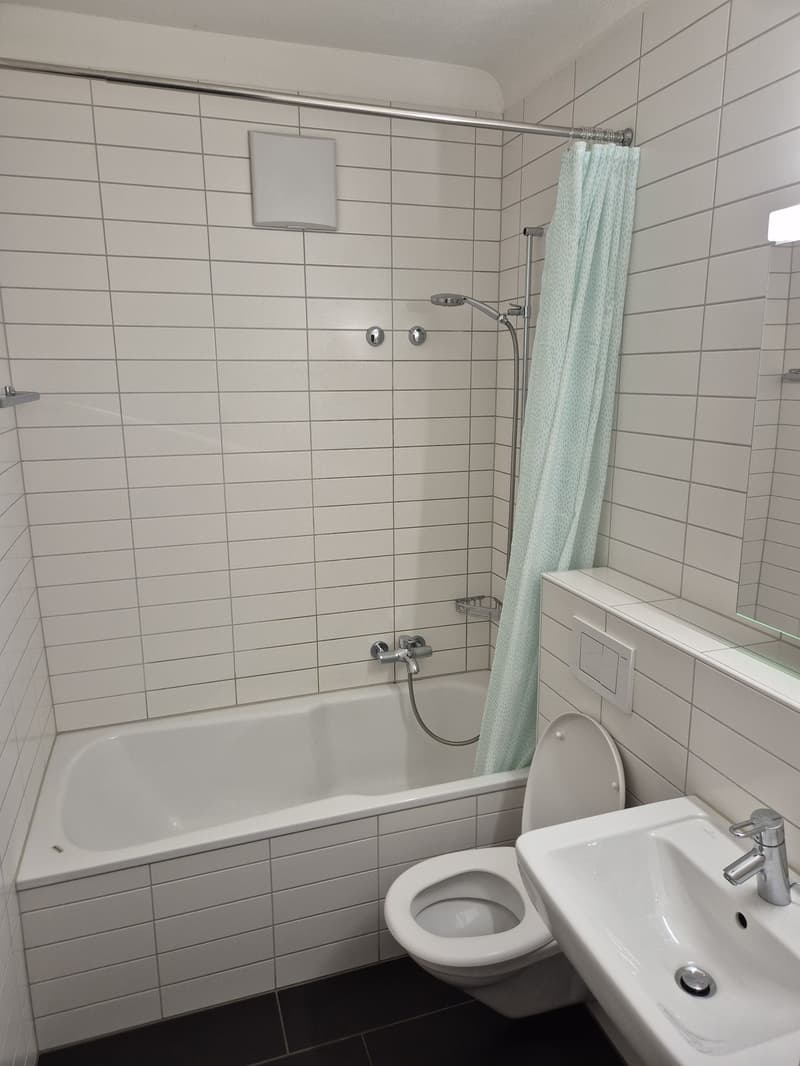 Furnished 2.5-room apartment in Lucerne's Neustadt, central & cozy (temporary) (5)
