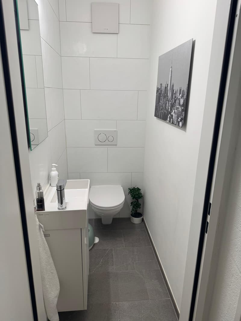 WG-Zimmer in Wipkingen (unbefristet) möbeliert, mit Balkon (9)