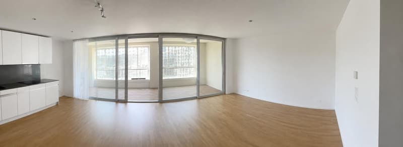 Appartamento moderno e luminoso a Dietikon (1)