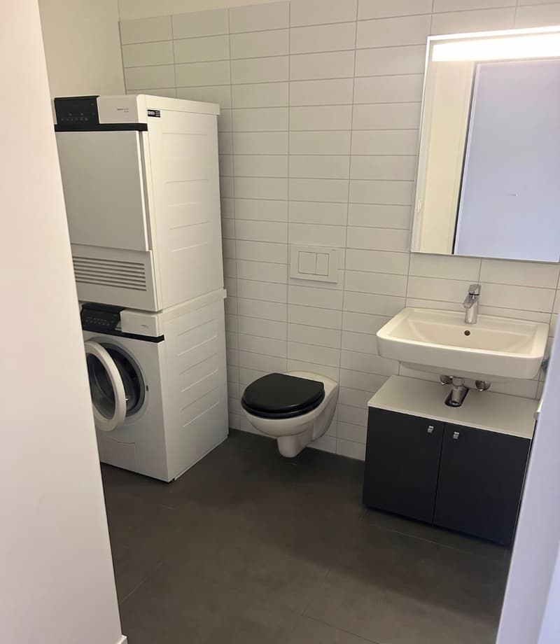 Appartamento moderno e luminoso a Dietikon (6)