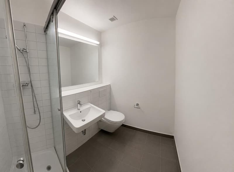 Appartamento moderno e luminoso a Dietikon (5)