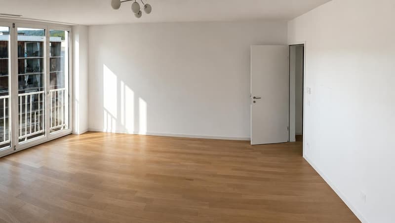 Appartamento moderno e luminoso a Dietikon (8)