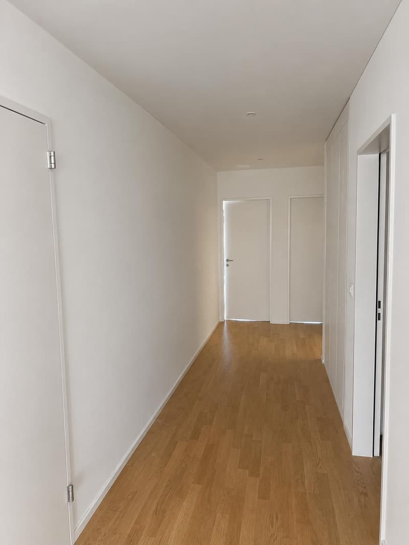 Appartamento moderno e luminoso a Dietikon (4)