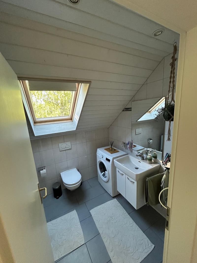 3.5 room apartment for rent in Windisch (5)
