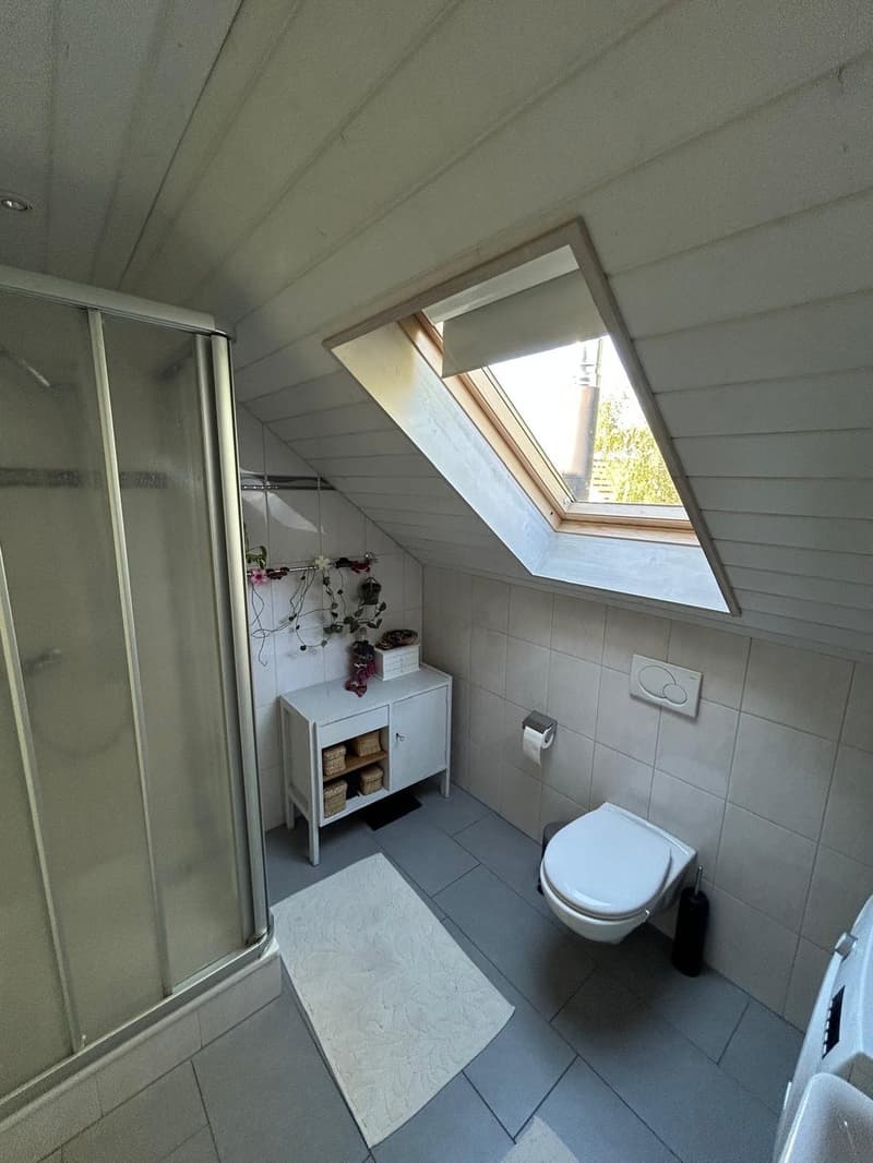 3.5 room apartment for rent in Windisch (6)