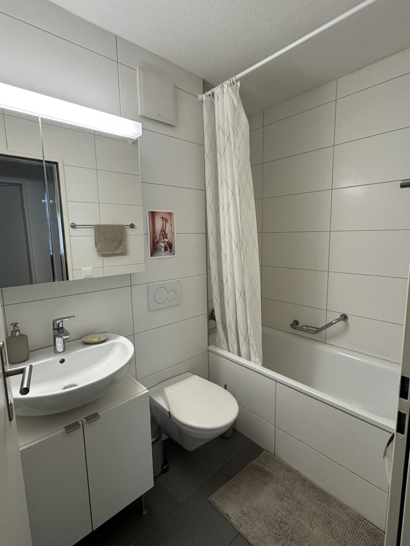 Appartement à Werdhölzli (2)
