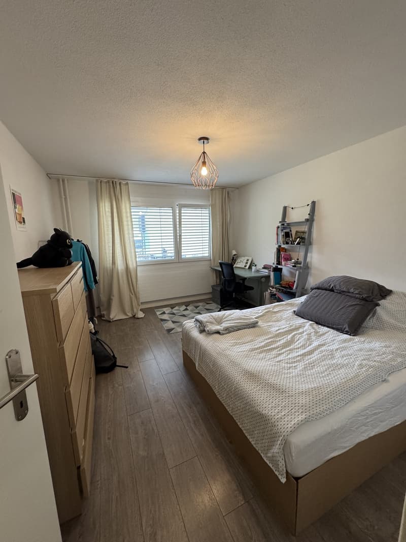 Appartement à Werdhölzli (3)
