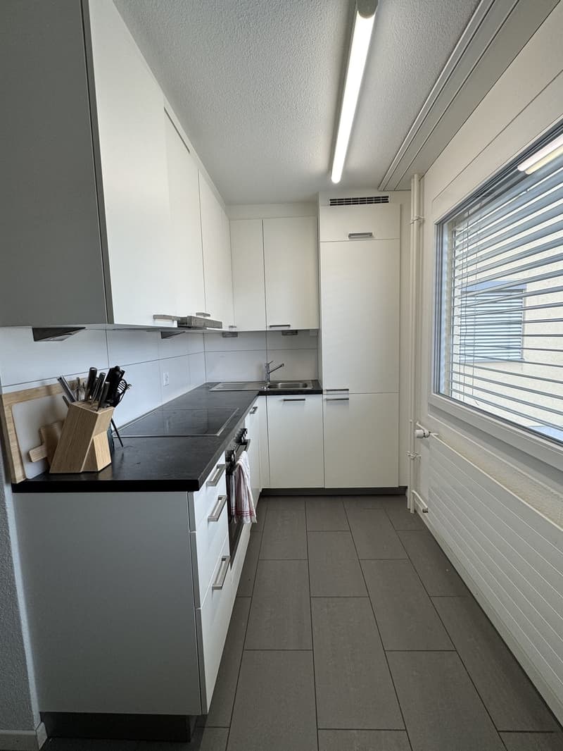 Appartement à Werdhölzli (4)