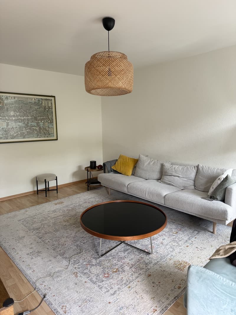 Chambre dans un appartement partagé, 8001 Zurich (3)