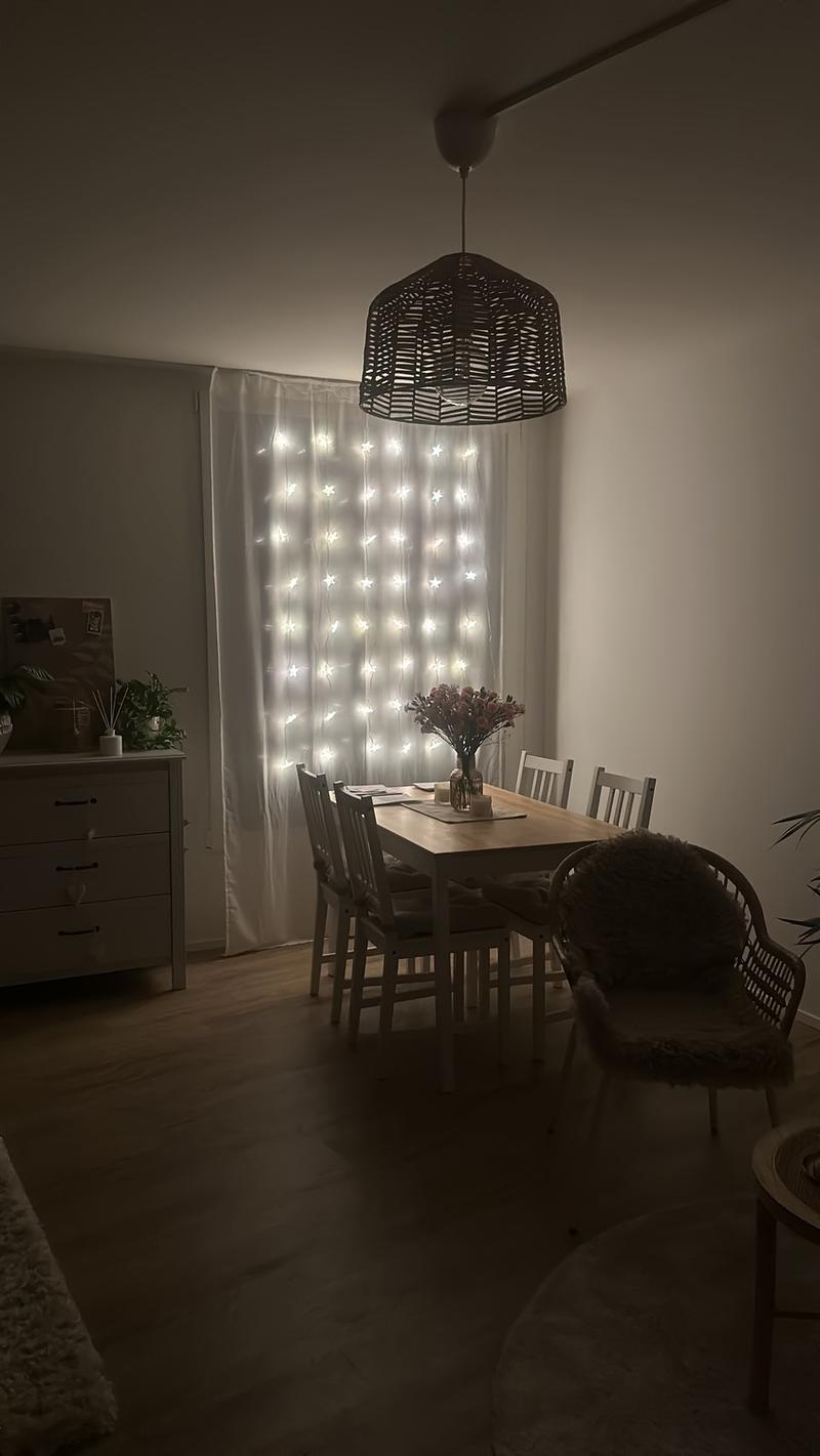 Bel appartement dans la ville de Lucerne (3)