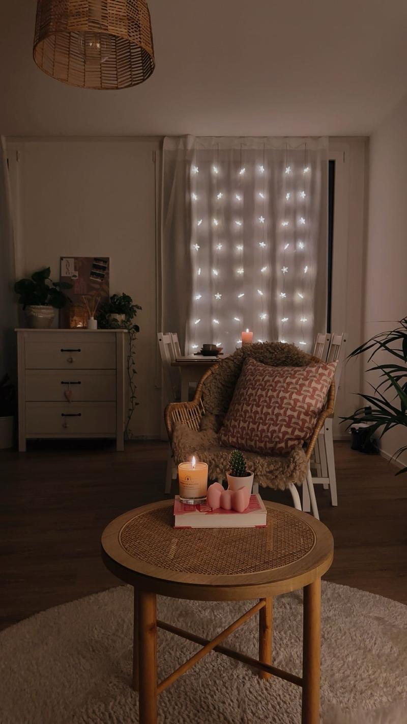 Bel appartement dans la ville de Lucerne (4)