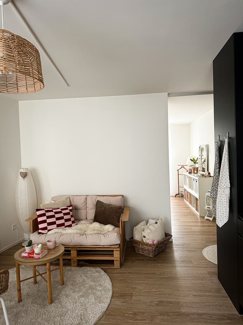 Bel appartement dans la ville de Lucerne (1)