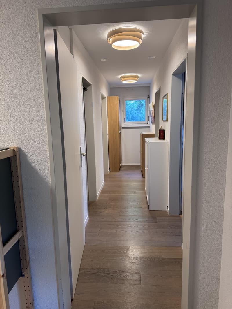 Appartement 4,5 pièces dans le beau Dättnau (13)