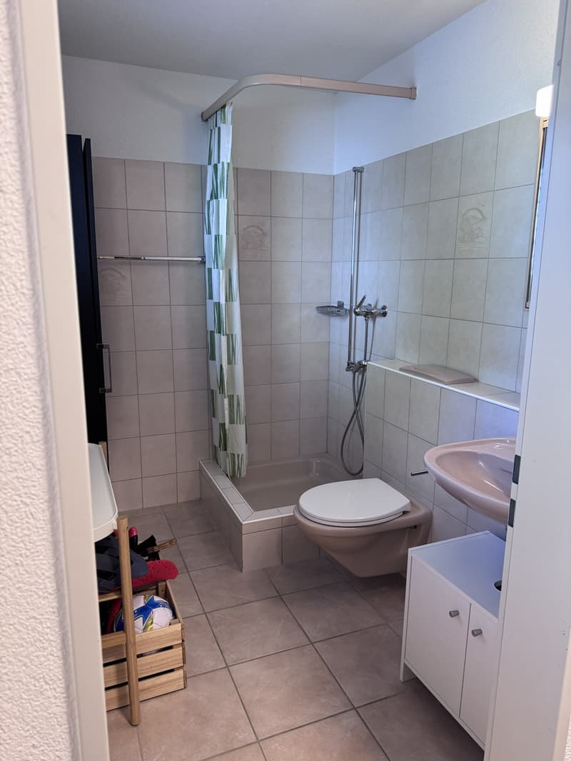 Appartement 4,5 pièces dans le beau Dättnau (9)