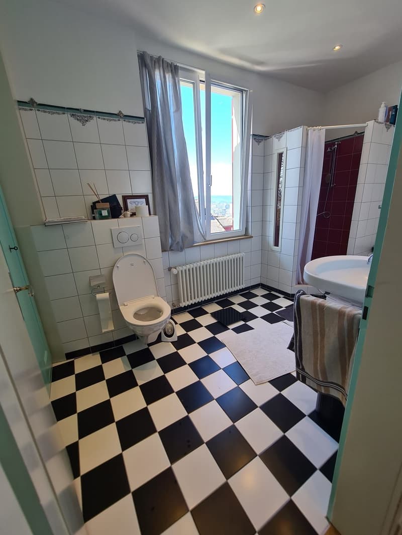 Gemuetliches WG Zimmer im Kreis 6 (11)
