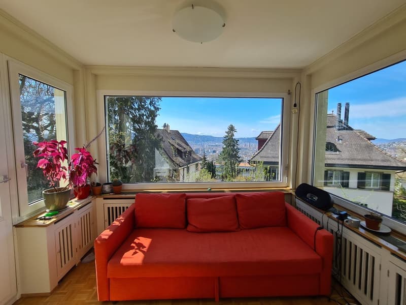 Gemuetliches WG Zimmer im Kreis 6 (8)