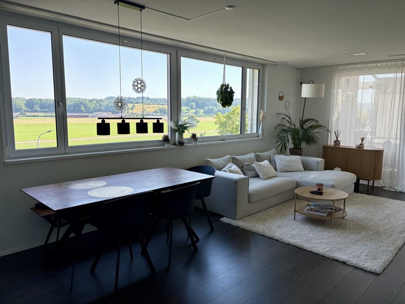 Grosszügige und helle 3.5-Zimmer-Wohnung in Dübendorf zu vermieten (1)