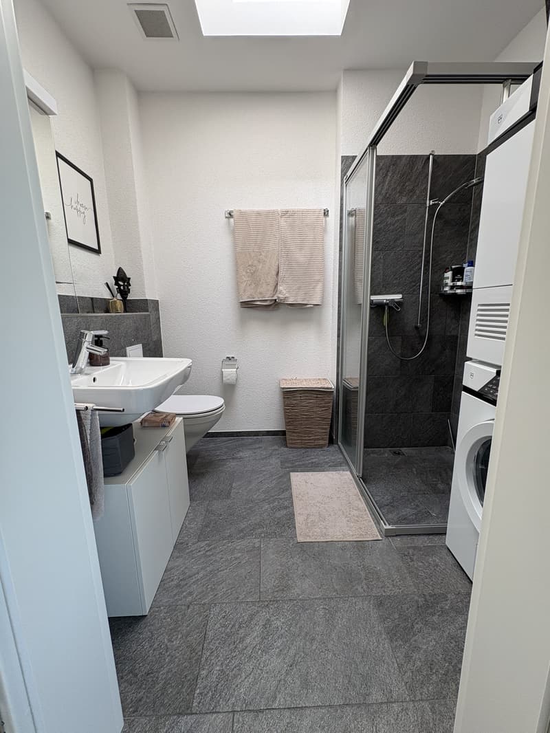 Grosszügige und helle 3.5-Zimmer-Wohnung in Dübendorf zu vermieten (6)
