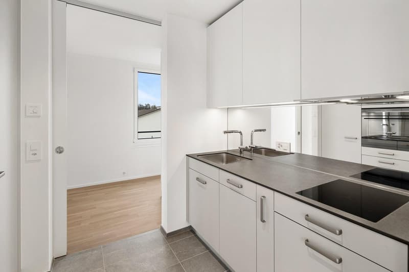 Appartamento di charme con 2 camere, grande terrazza sul tetto e vista panoramica a Uster (3)