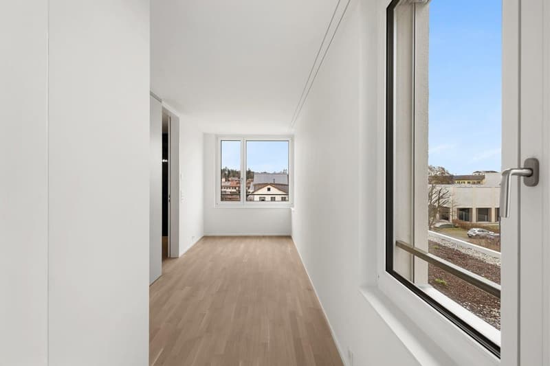 Appartamento di charme con 2 camere, grande terrazza sul tetto e vista panoramica a Uster (4)