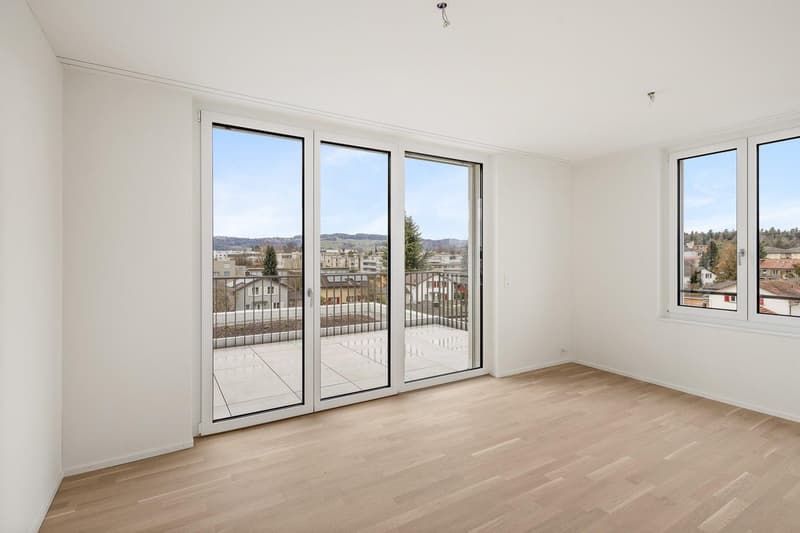 Appartamento di charme con 2 camere, grande terrazza sul tetto e vista panoramica a Uster (7)