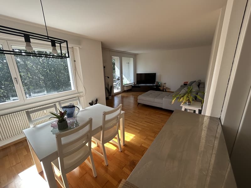 Appartement lumineux 3.5 pièces à Steinibach près de l'Aare ! (2)