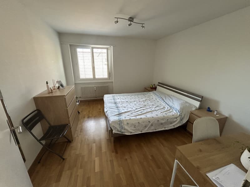 Appartement lumineux 3.5 pièces à Steinibach près de l'Aare ! (3)