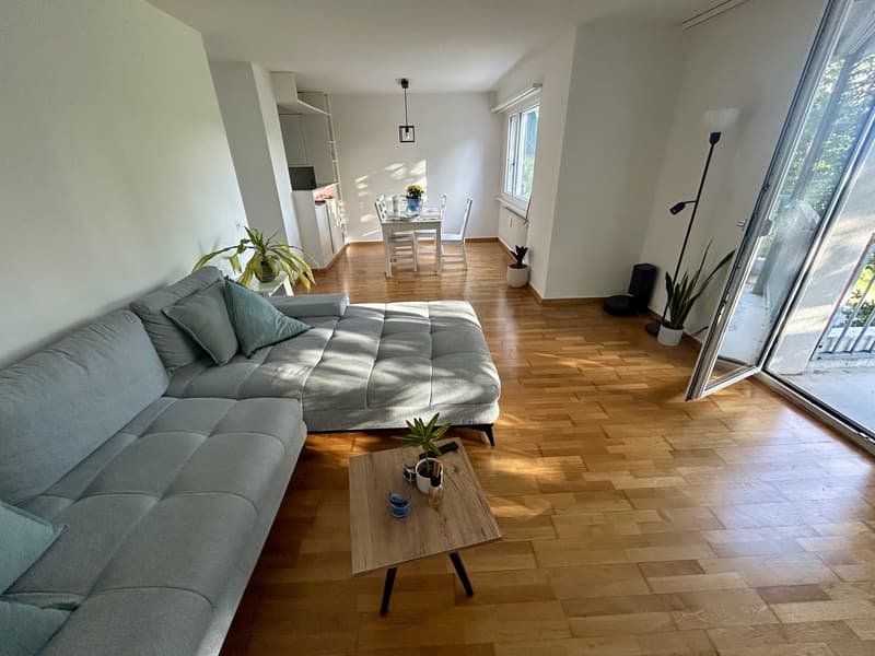 Appartement lumineux 3.5 pièces à Steinibach près de l'Aare ! (1)