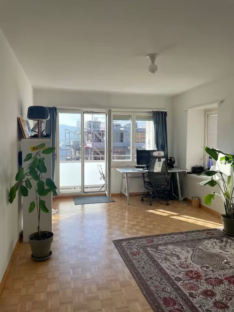 Helle 2-Zimmer-Wohnung, 5 Min. zum HB, mit Stadtblick, Zürich Kreis 6 (1)