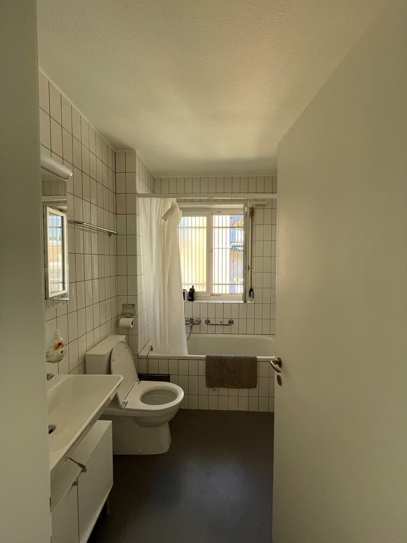 Helle 2-Zimmer-Wohnung, 5 Min. zum HB, mit Stadtblick, Zürich Kreis 6 (3)