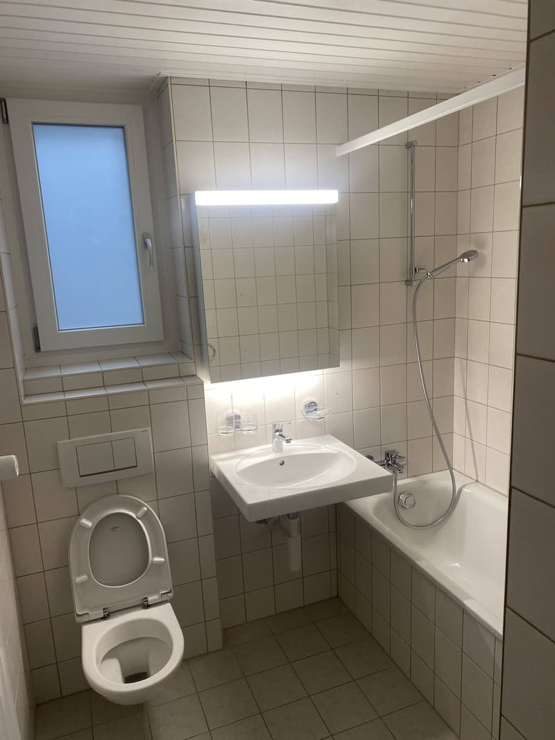 Appartement charmant, fraîchement rénové de 3 pièces dans un emplacement central (7 minutes à la gare de Schlieren) (7)