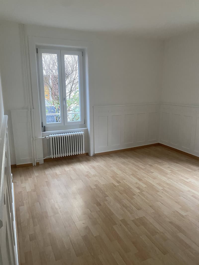 Appartement charmant, fraîchement rénové de 3 pièces dans un emplacement central (7 minutes à la gare de Schlieren) (4)