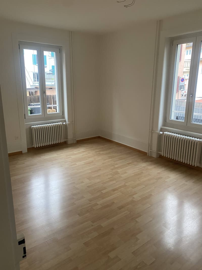 Appartement charmant, fraîchement rénové de 3 pièces dans un emplacement central (7 minutes à la gare de Schlieren) (3)