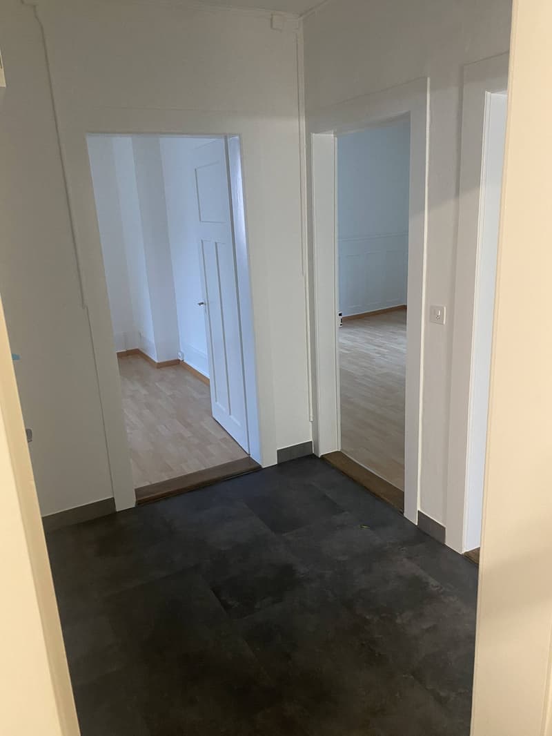 Appartement charmant, fraîchement rénové de 3 pièces dans un emplacement central (7 minutes à la gare de Schlieren) (2)