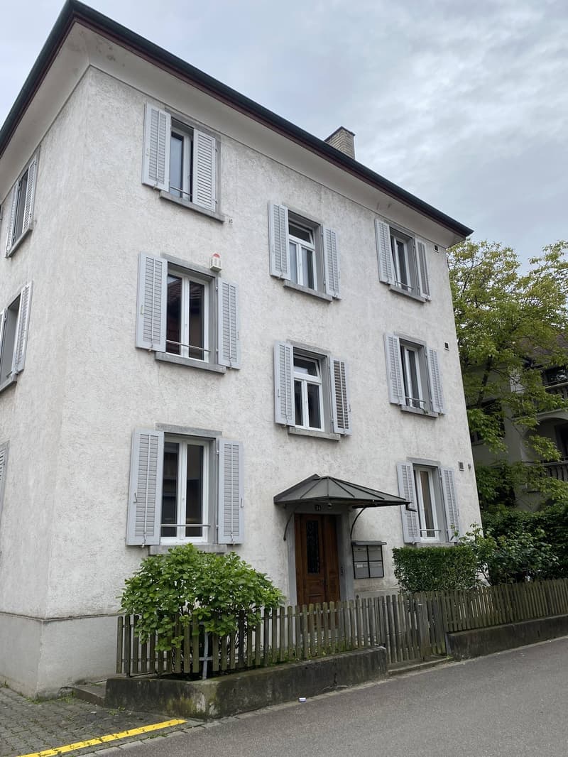 Appartement charmant, fraîchement rénové de 3 pièces dans un emplacement central (7 minutes à la gare de Schlieren) (8)