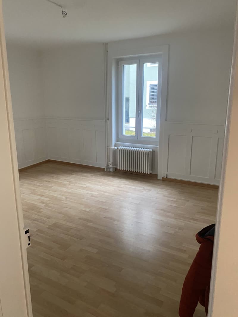 Appartement charmant, fraîchement rénové de 3 pièces dans un emplacement central (7 minutes à la gare de Schlieren) (1)