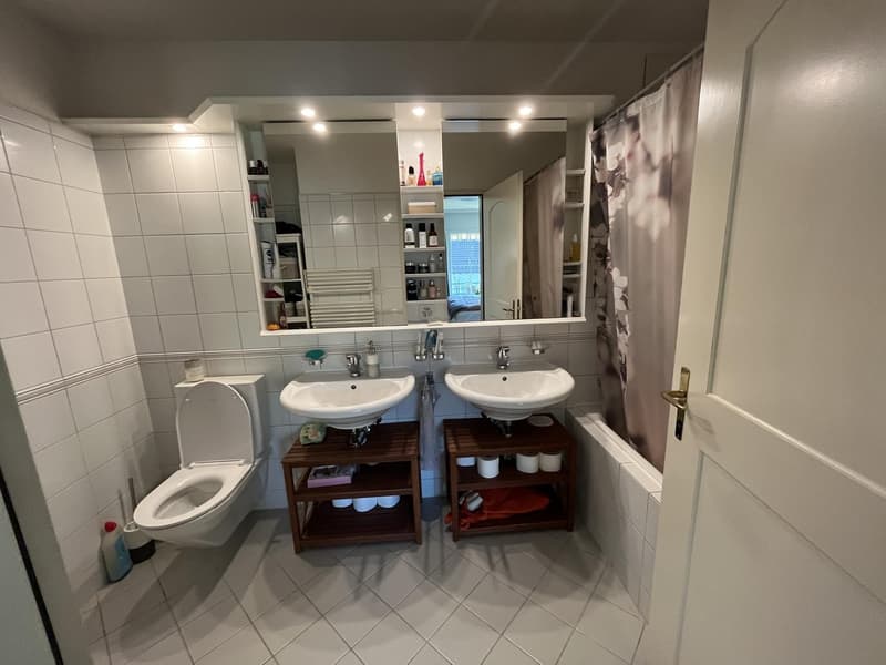 Appartement pour 1 mois (24.07-23.08.26) (6)