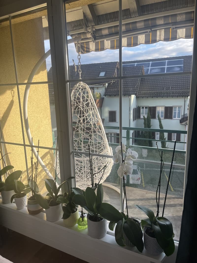 Appartement pour 1 mois (24.07-23.08.26) (7)