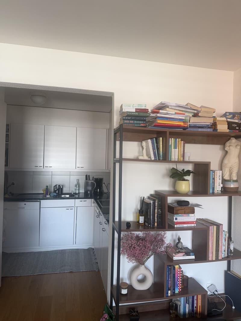 Appartement pour 1 mois (24.07-23.08.26) (2)