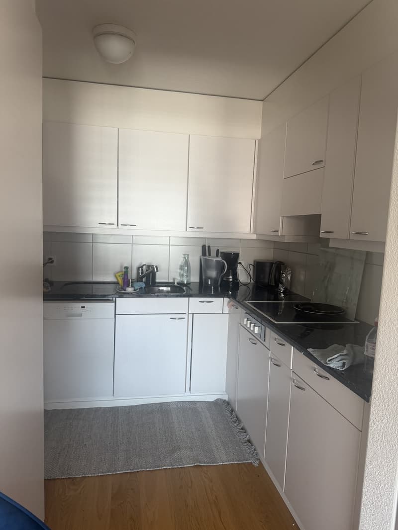 Appartement pour 1 mois (24.07-23.08.26) (3)