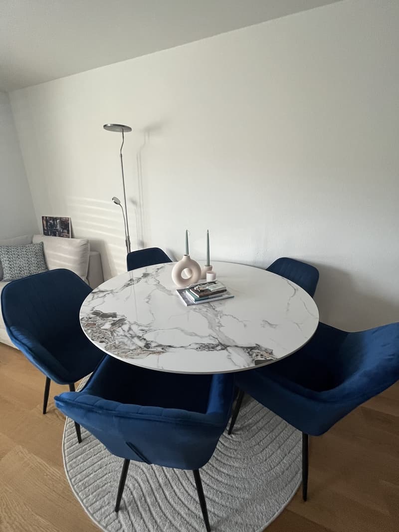 Appartement pour 1 mois (24.07-23.08.26) (5)