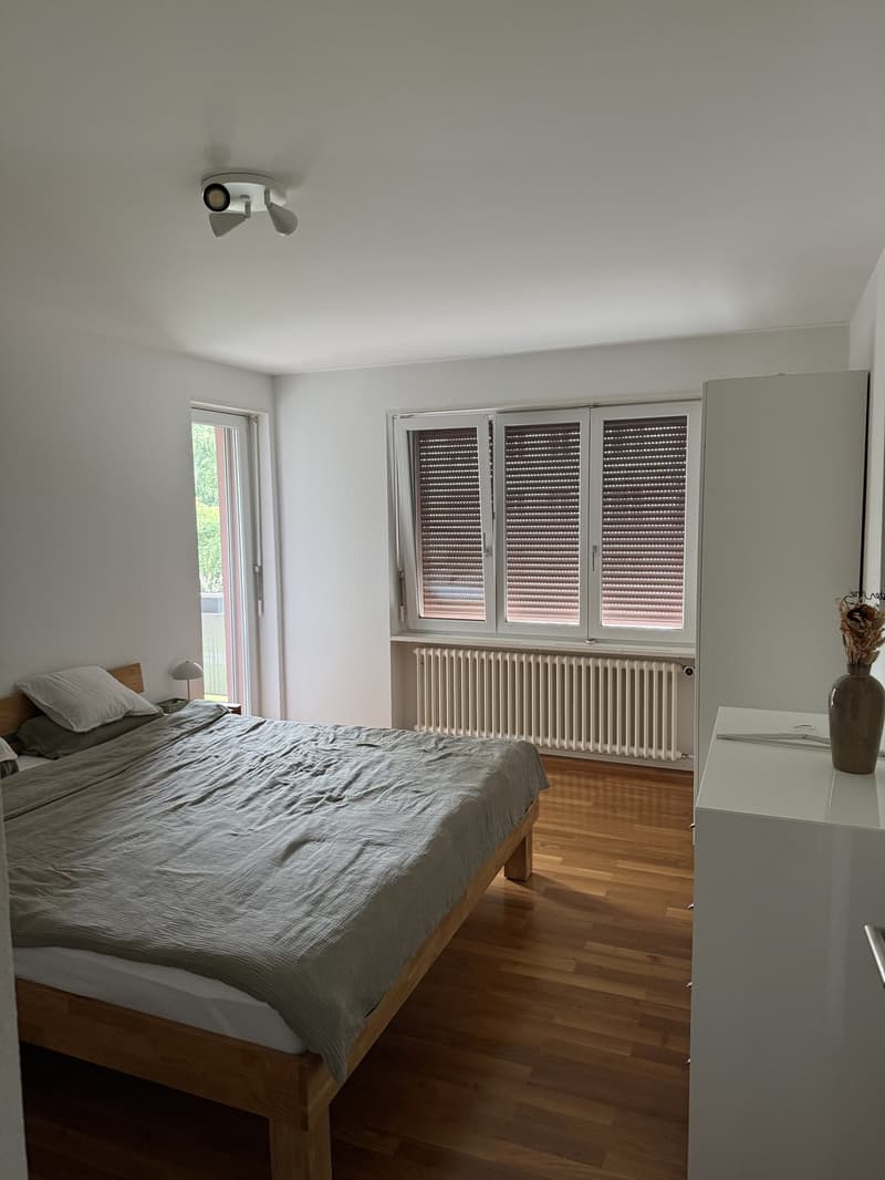 Appartement 4.5 pièces en centre-ville - temporaire (4)