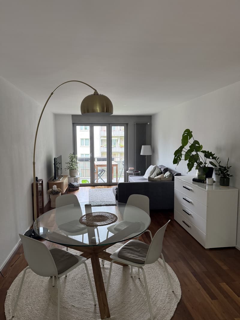 Appartement 4.5 pièces en centre-ville - temporaire (1)