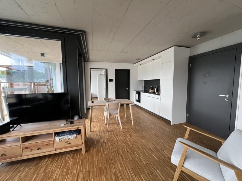Traumhaftes Wohnen am Emmenufer: Moderne 2.5-Zimmer-Wohnung mit Pilatusblick (5)