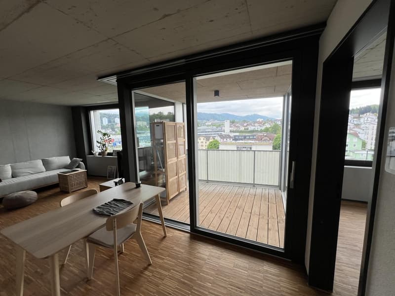 Traumhaftes Wohnen am Emmenufer: Moderne 2.5-Zimmer-Wohnung mit Pilatusblick (7)