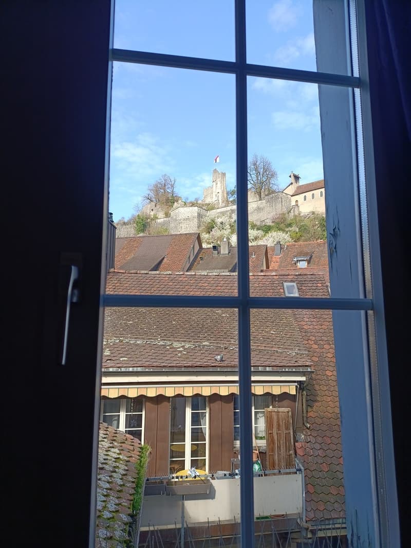 3,5 Zimmer Wohnung mitten in der Altstadt Baden (8)