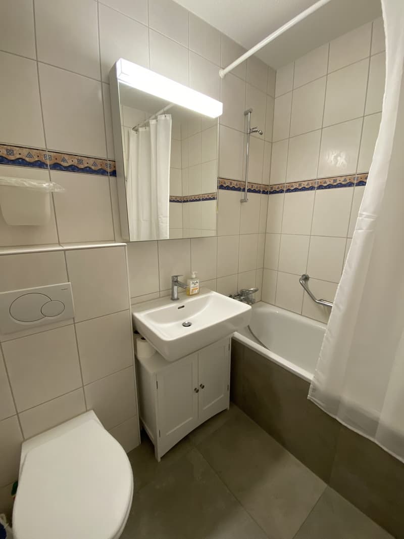 Appartement 2 ½ Zimmer, 8032 Zürich (4)