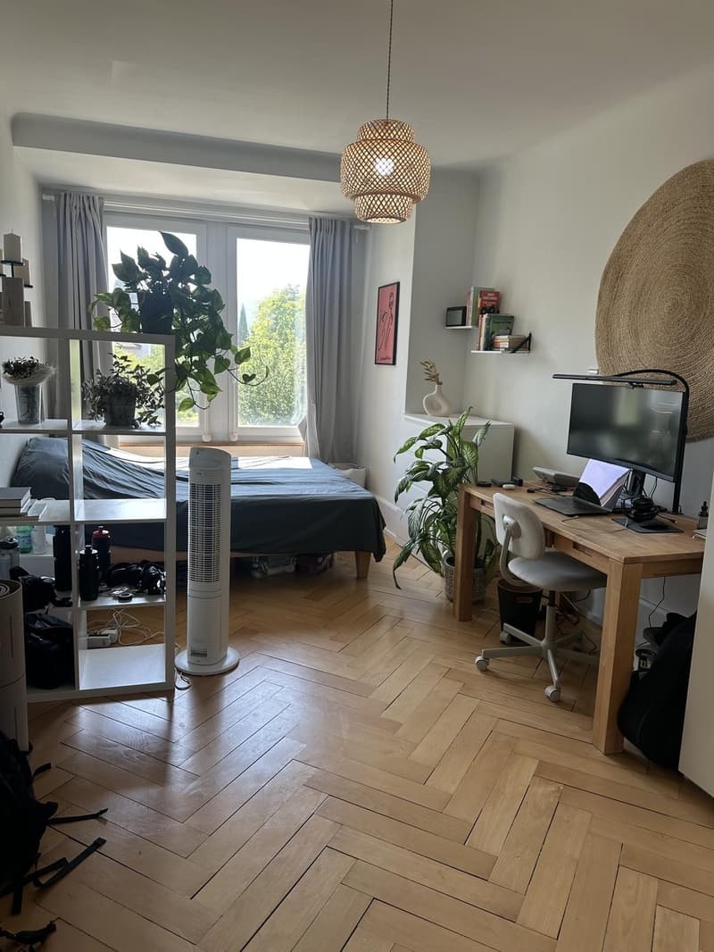 Bright room in a calm, professional WG Seefeld (8008) (1)