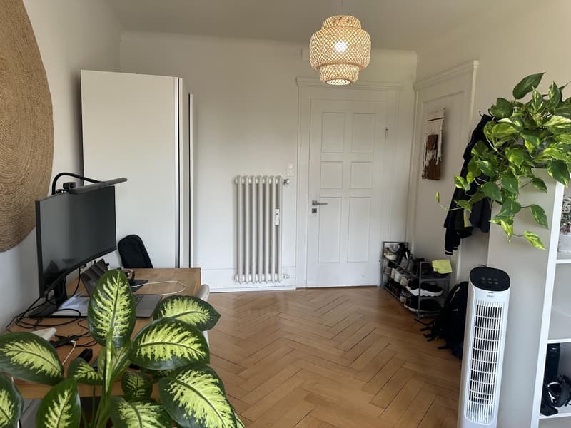 Bright room in a calm, professional WG Seefeld (8008) (2)